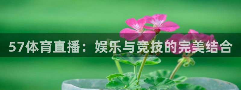 nba直播免费观看直播在线蜘蛛直播：57体育直播：娱乐与竞技的完美结合