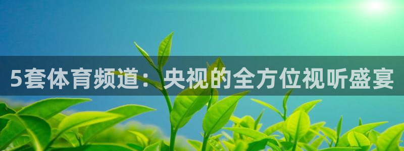 足球小蜘蛛：5套体育频道：央视的全方位视听盛宴
