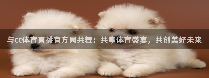 蜘蛛直播体育免费观看：与cc体育直播官方网共舞：共享体育盛宴，共创美好未来