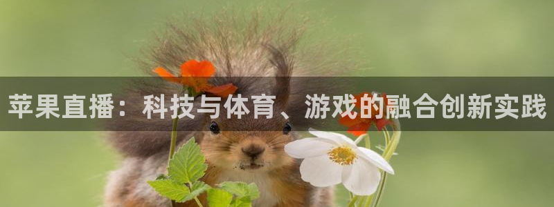 蜘蛛nba免费直播在线直播：苹果直播：科技与体育、游戏的融合创新实践