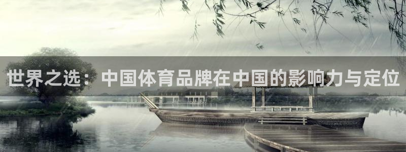 蜘蛛直播体育免费直播：世界之选：中国体育品牌在中国的影响力与定位