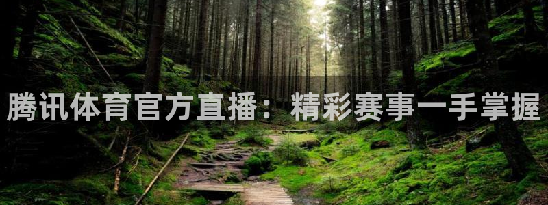 蜘蛛nba直播：腾讯体育官方直播：精彩赛事一手掌握