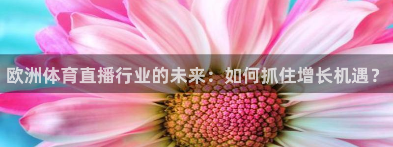 足球小蜘蛛：欧洲体育直播行业的未来：如何抓住增长机遇？