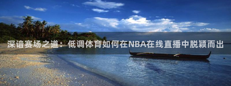 蜘蛛nba：深谙赛场之道：低调体育如何在NBA在线直播中脱颖而出