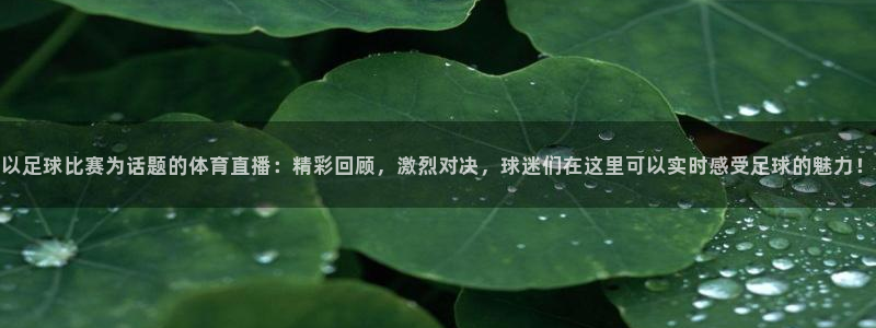 蜘蛛体育nba直播入口：以足球比赛为话题的体育直播：精彩回顾，激烈对决，球迷们在这里可以实时感受足球的魅力！