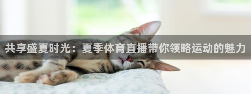 蜘蛛直播体育篮球：共享盛夏时光：夏季体育直播带你领略运动的魅力