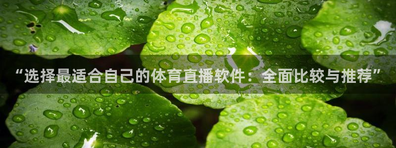 蜘蛛直播nba直播在线直播：“选择最适合自己的体育直播软件：全面比较与推荐”