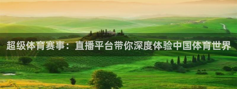蜘蛛直播体育nba直播在线：超级体育赛事：直播平台带你深度体验中国体育世界